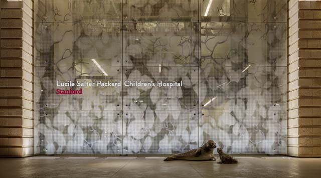 Natural Progression For Lucile Packard Children’s Hospital Stanford