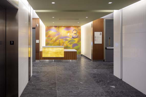 Seismic Design At California Pacific Medical Center Van Ness