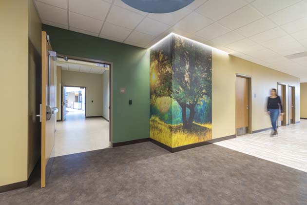 Creating A Place Of Sanctuary For Mental Health Patients