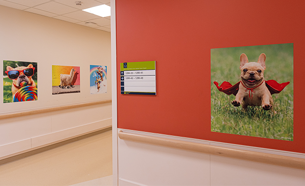 C.S. Mott Children’s Hospital Installs Graphics Program To Ease Patients’ Anxiety