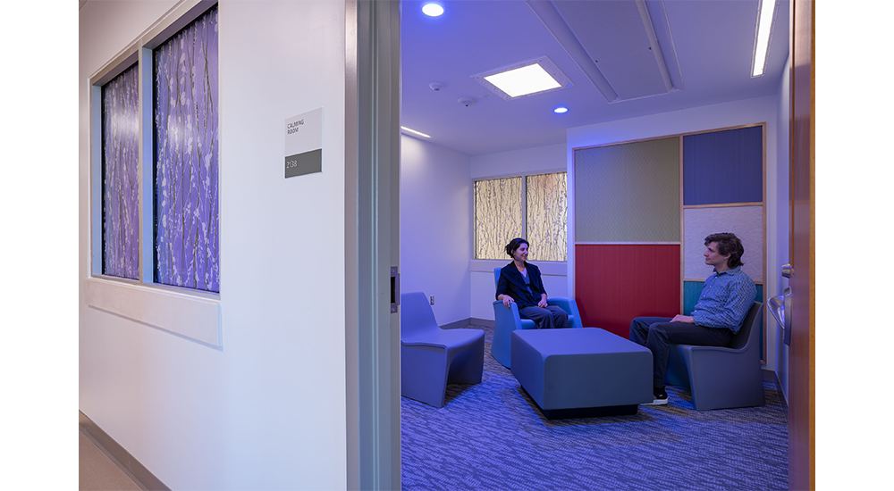 Using People-forward Design To Deliver Supportive Behavioral Health Environments, slide 2