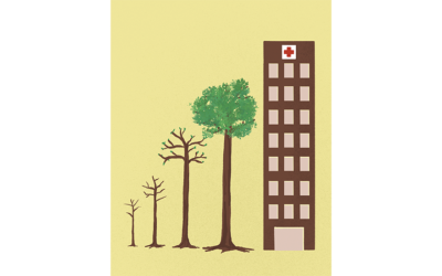 Rise Of Mass Timber Construction In Healthcare Design