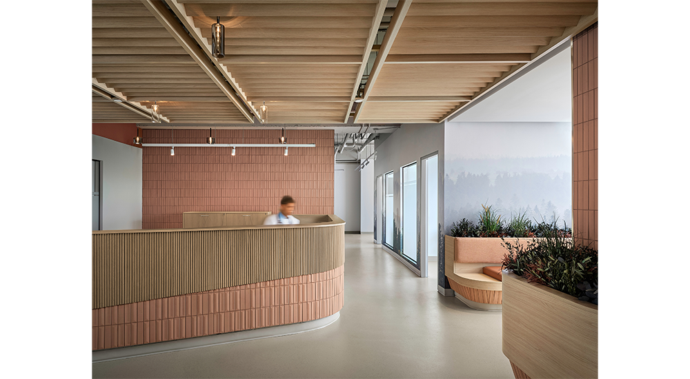 Durham Spine & Pain Institute, Ajax, Ontario, Canada: Photo Tour, slide 0