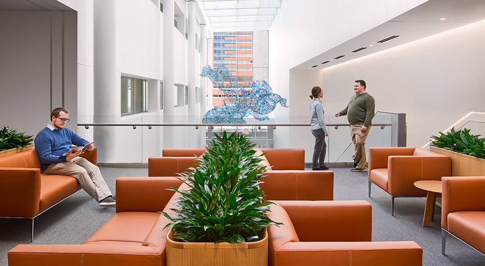 Cleveland Clinic – The Jeffrey and Patricia Cole Pavilion At Cole Eye Institute: Photo Tour , slide 2