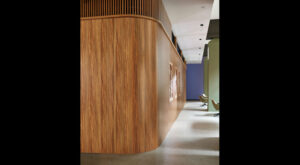 Coco Tamarind, Formica Group