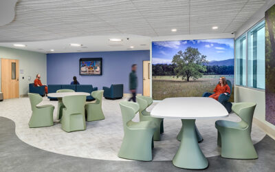 The HCD 10: Connections Health Solutions, Outstanding Organization