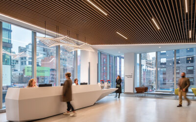 Och Spine At NewYork-Presbyterian/The Spiral, New York: 2025 Design Showcase Award Of Merit