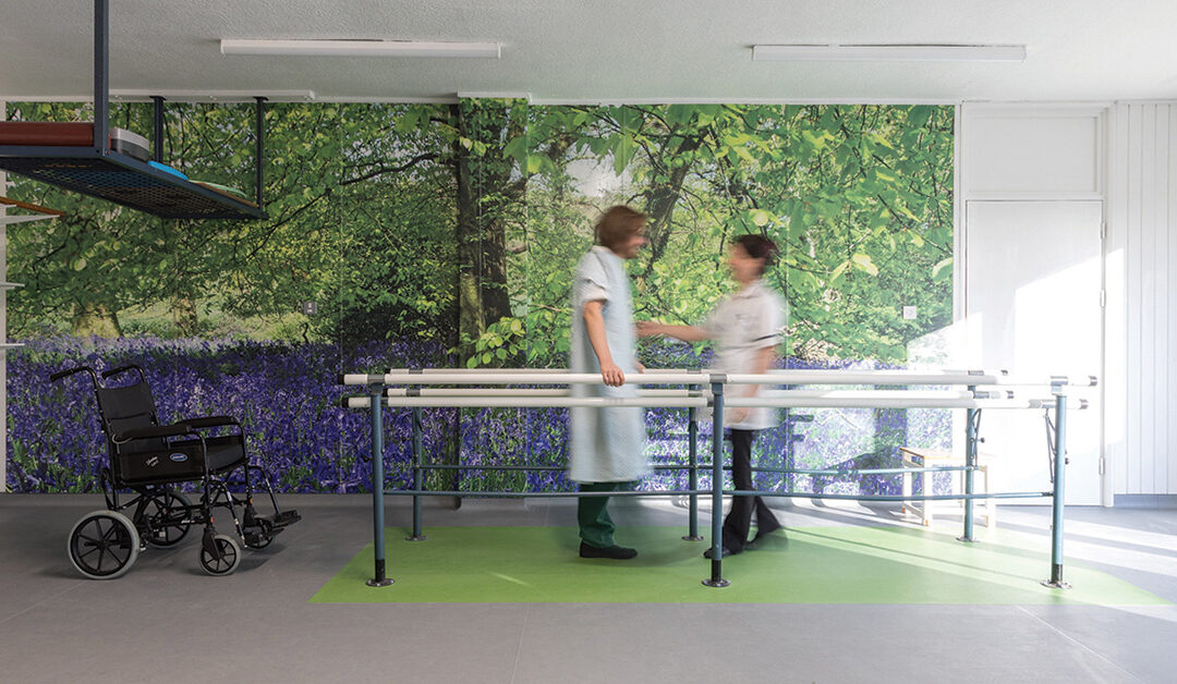 11 Building Products For Healthcare Facilities