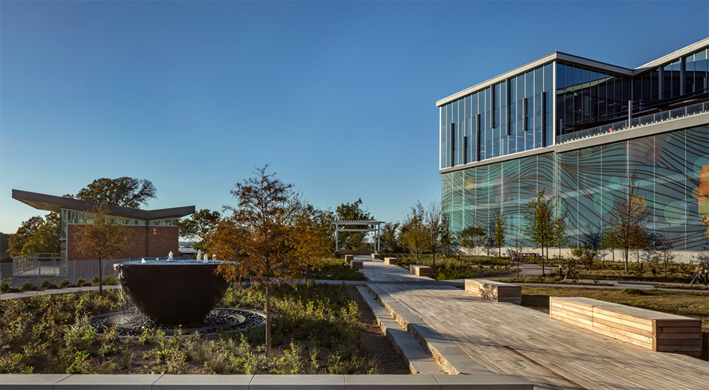 Metrocare Mental Health And Disability Innovation Center, Dallas: Photo Tour, slide 4