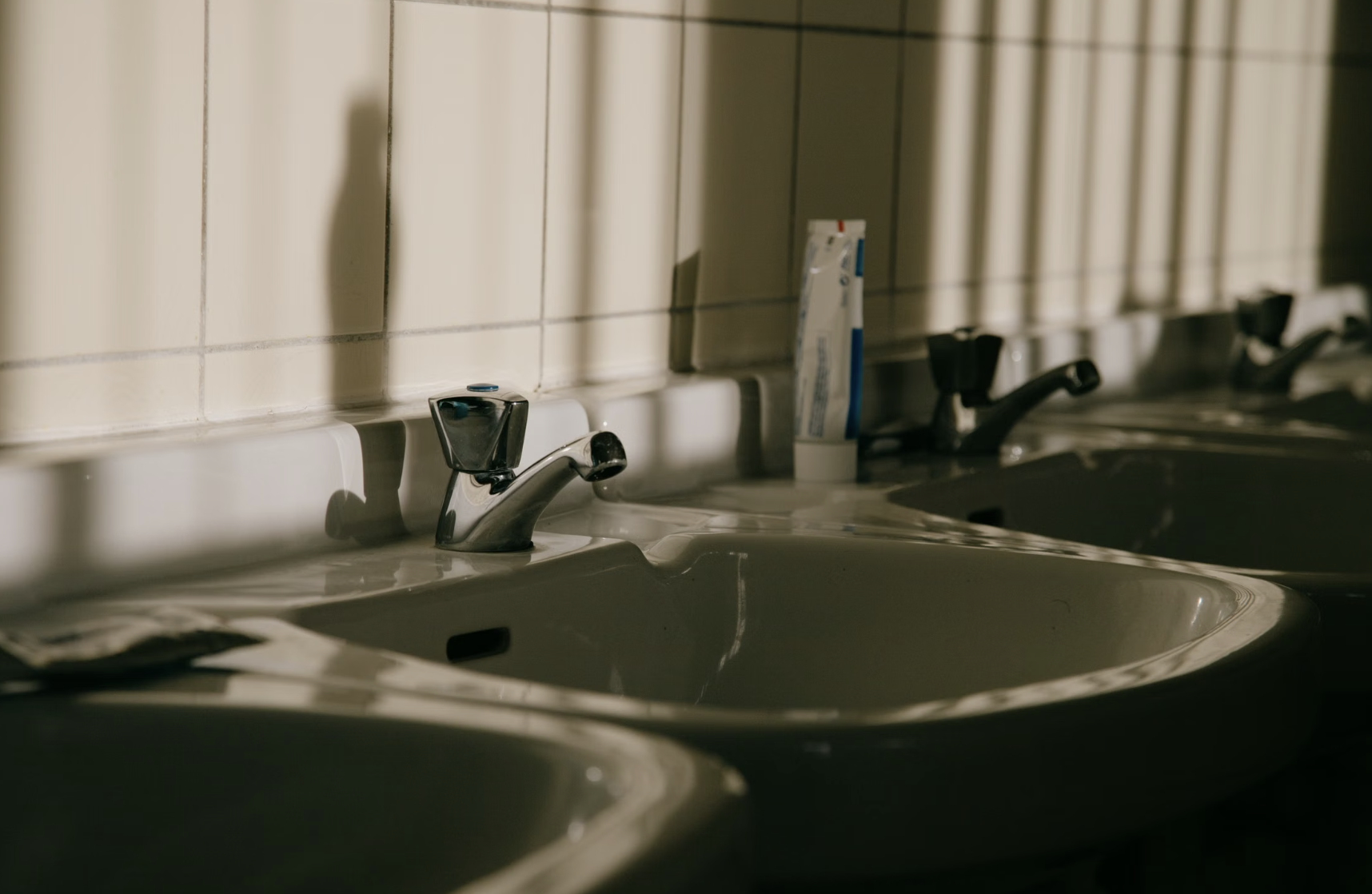 Photo by Sinitta Leunen on Pexels. Free to use under the Pexels License.