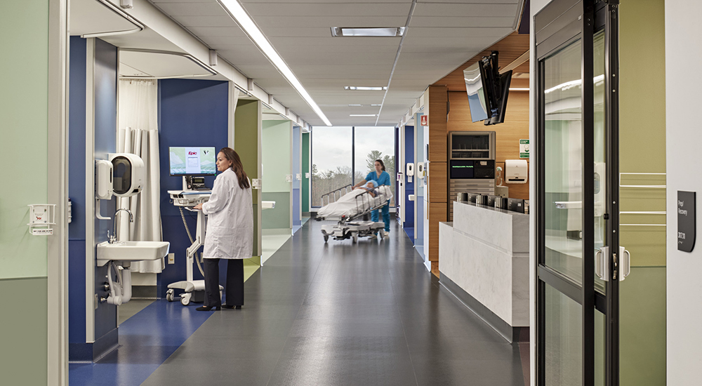 HCD Rising Star: Gretchen Kelly, slide 1